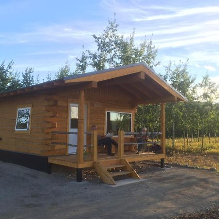 Oma'S And Opa'S Northern Lights Viewing Cabin Villa Whitehorse Exterior foto