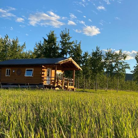 Oma'S And Opa'S Northern Lights Viewing Cabin Villa Whitehorse Exterior foto