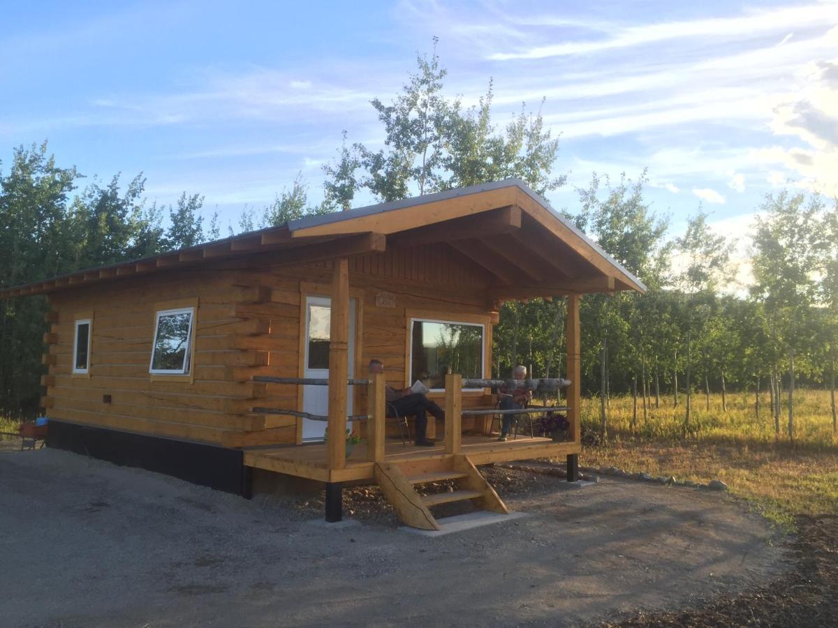 Oma'S And Opa'S Northern Lights Viewing Cabin Villa Whitehorse Exterior foto