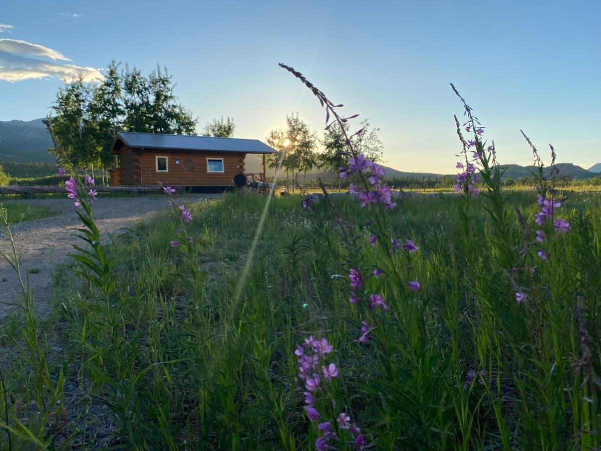 Oma'S And Opa'S Northern Lights Viewing Cabin Villa Whitehorse Exterior foto