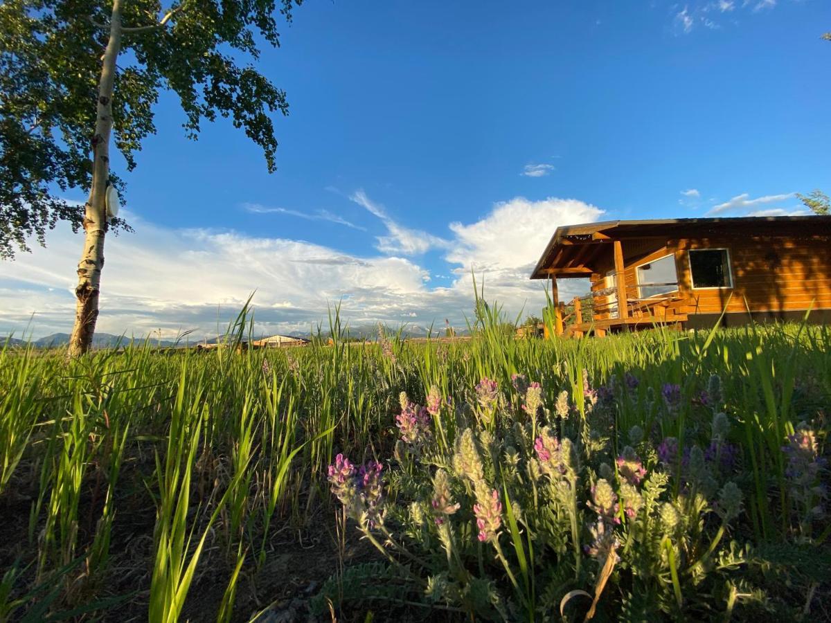 Oma'S And Opa'S Northern Lights Viewing Cabin Villa Whitehorse Exterior foto