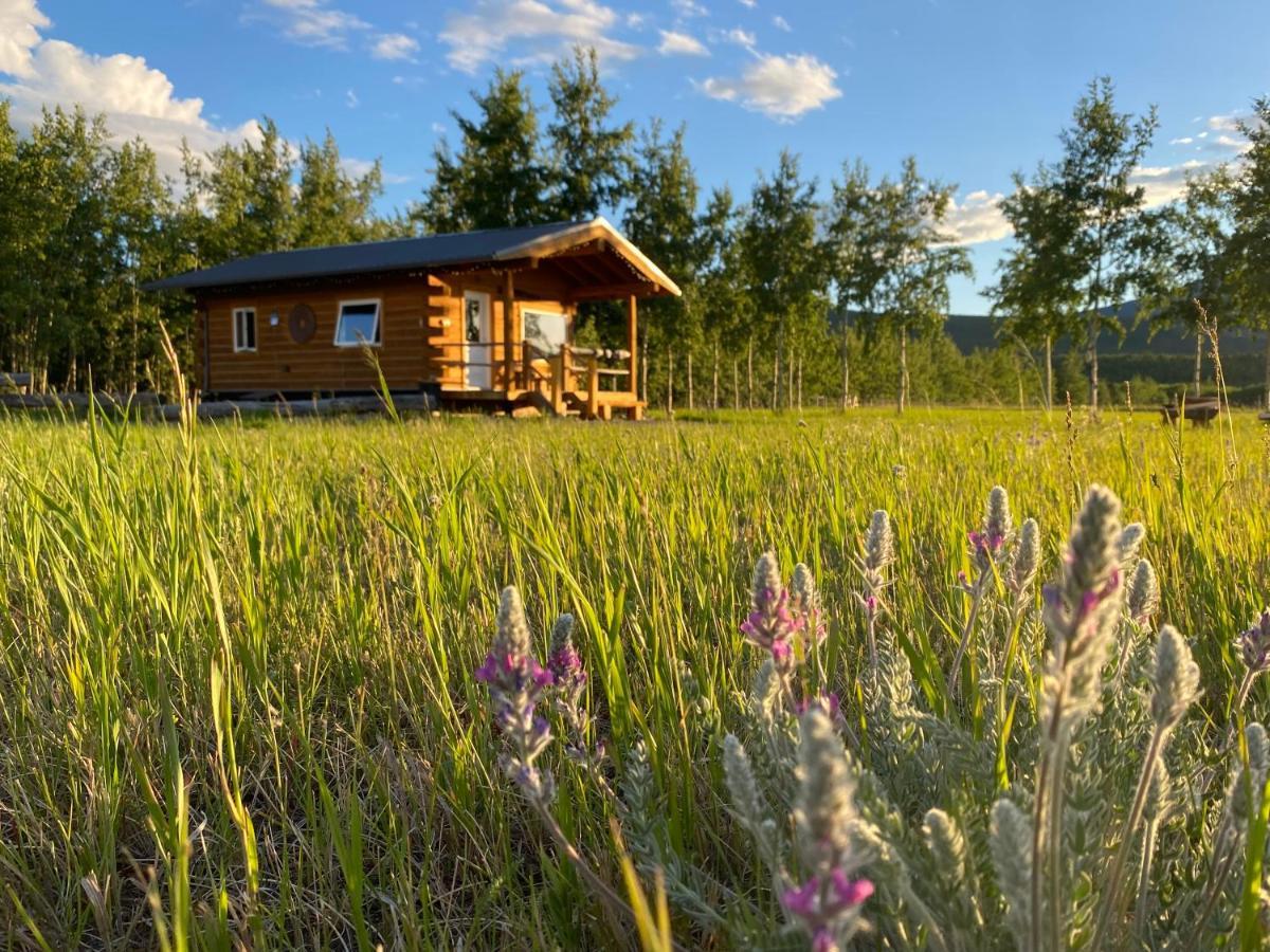 Oma'S And Opa'S Northern Lights Viewing Cabin Villa Whitehorse Exterior foto