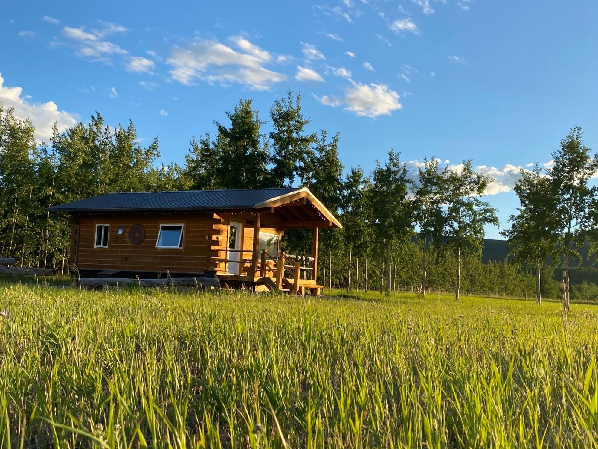 Oma'S And Opa'S Northern Lights Viewing Cabin Villa Whitehorse Exterior foto